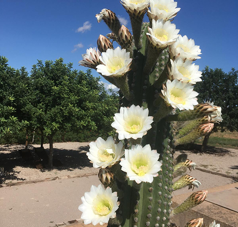 WhatsApp Image 2026-03-03 at 15.37.19 1