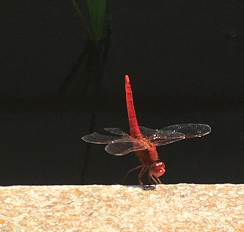 WhatsApp Image 2026-03-03 at 15.38.04 1